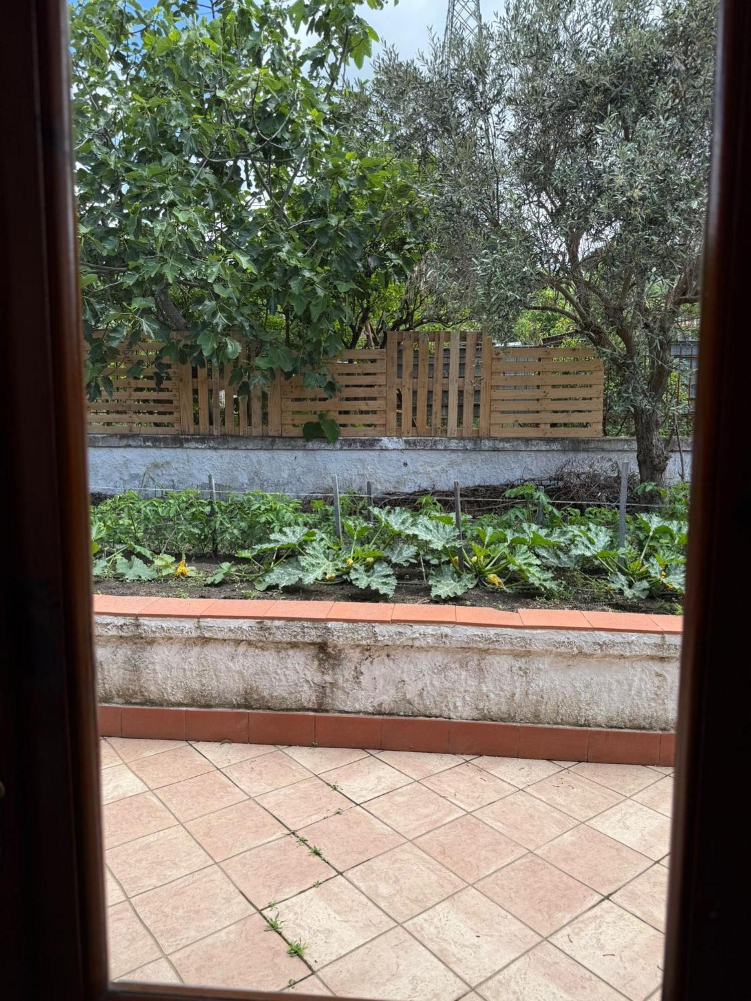 B&B Ioli Vesuvio Ercolano Eksteriør bilde